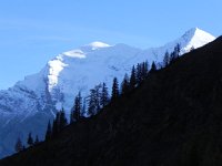 DSCN2550  Balmhorn and Attels