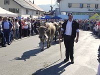 DSCN2439  and of course more cows!