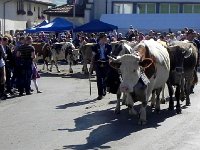 DSCN2443  With older folks