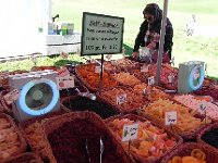 DSCN2447  and dried fruits