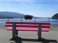 DSCN2459  Bench and flower box - Lac de Joux