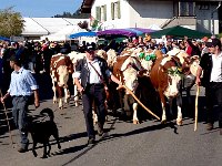 IMG 0669  he would&#39;ve painted this!