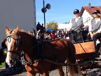 IMG 0676  and horses and wagons.