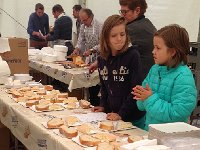 IMG 0685  willing to sell you