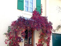 IMG 0705  Walking uphill out of town