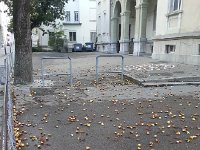 20140922 084551  September 22 - who can resist...