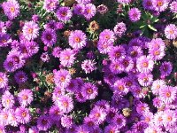 20140926 163429  Zowie!