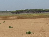 20141001 103223  The landscape was still dry