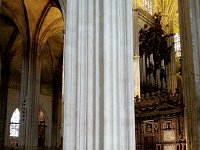 20141001 144838  and very big!