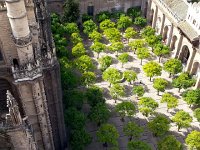 20141001 153242  repurposed from its former use for pre-prayer ablutions,