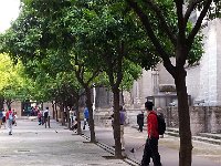 20141001 154856  and confirming their existence using their &#34;narsis-sticks&#34;-cameras mounted to permit selfies.