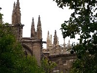 20141001 155234  amongst the orange fruits and the spires.