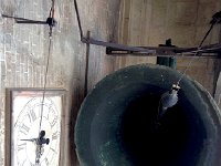 IMG 0736  where there were bells,