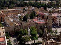 IMG 0739  Reales Alcazar