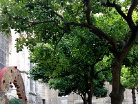 IMG 0743  people stretching,