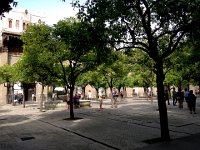 IMG 0744  congregating,