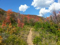 20140915 122056  I took a hike in the Wasatch State Park