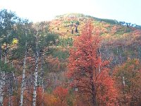 20140915 130335  were doing their best