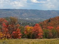 20140915 131812  I think they did rather well!