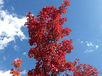 20140915 133125  Flaming!