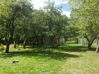 20140915 144145  Apple trees that he planted.