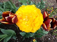 20150419 113148  Closest