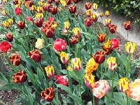 20150419 113155  Closer