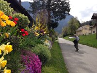 IMG 1200  past beautiful gardens...