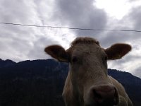 IMG 1203  Communing with our buddy.