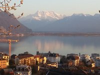 20150408 194541  8 April - coming back from the garden