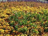 20150415 093456  Bern