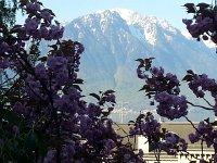 20150421 082408  le Grammont