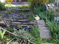 20150421 185957  this year with the valves near the steps