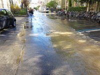 20150422 100350  and made quite a stream!