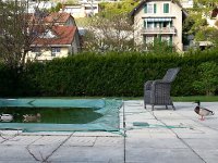 20150423 181948  waiting for his chance