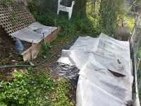 20150426 101724  Too much work invested to lose it to cold