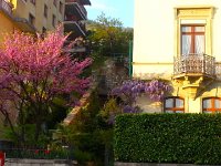 20150428 194154  28 April - back home in Montreux