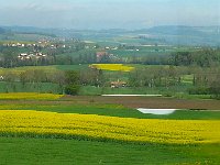 20150429 101450  29 April - the wheat and mustard landcape of Fribourg