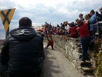 20150425 153135  The Ice Age was a whole show!