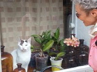 20150412 094721  Kitty watching from a window