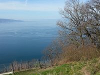 20150412 110253  Breezes on the lake