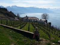 20150412 110309  Looking back to where we started