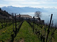 20150412 111107  Nice place for a house