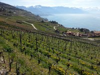 20150412 112931  World Heritage site