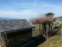 20150412 114451  Textures