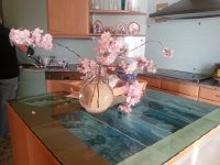 20150412 182655  Hours later, we are home with blossoms