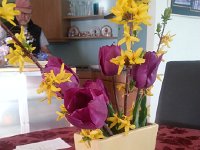 20150412 182710  Forsythia and tulips