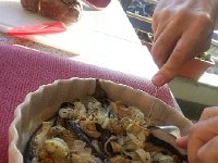 20150412 183447  Eggplant fans