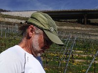 IMG 1192  Consulting map in phone