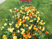 20150419 164040  What I saw.